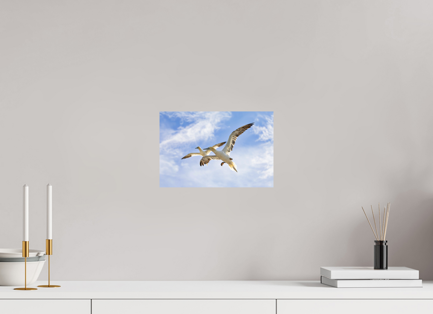 30 x 20 cm, Smooth Glossy Soaring Seabirds
