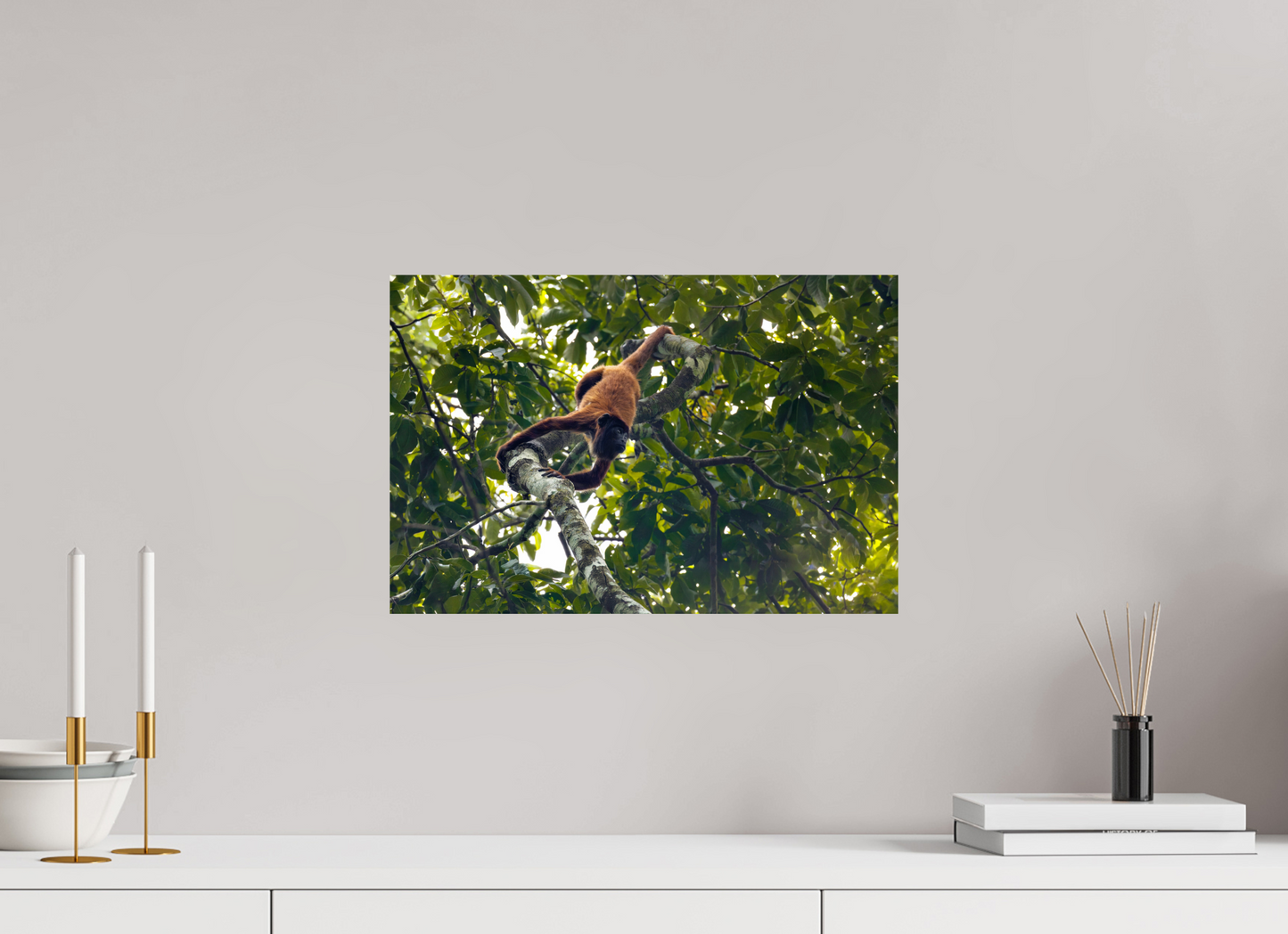 45 x 30 cm, Smooth Glossy Howler Monkey