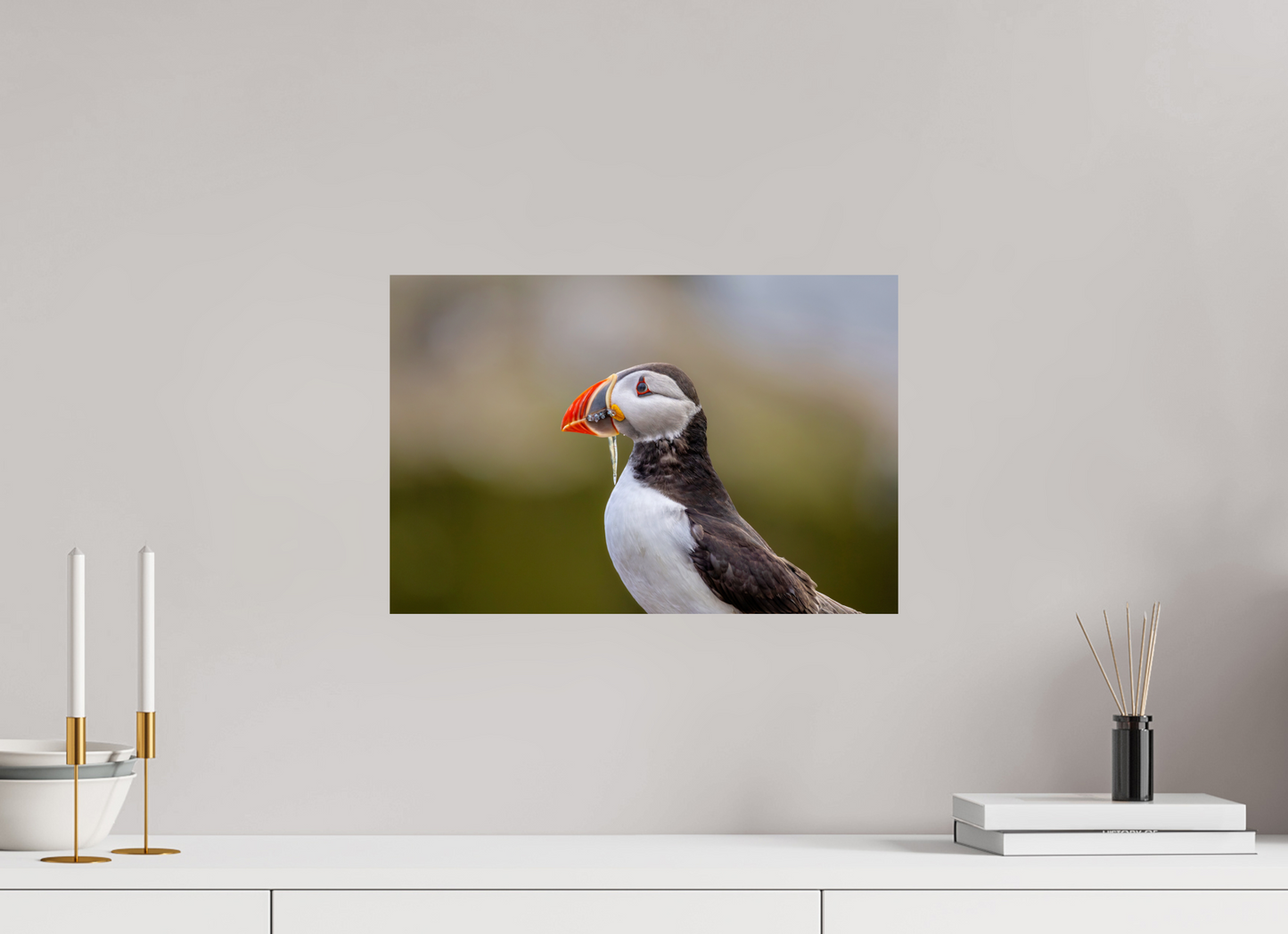 45 x 30 cm, Smooth Glossy puffin8