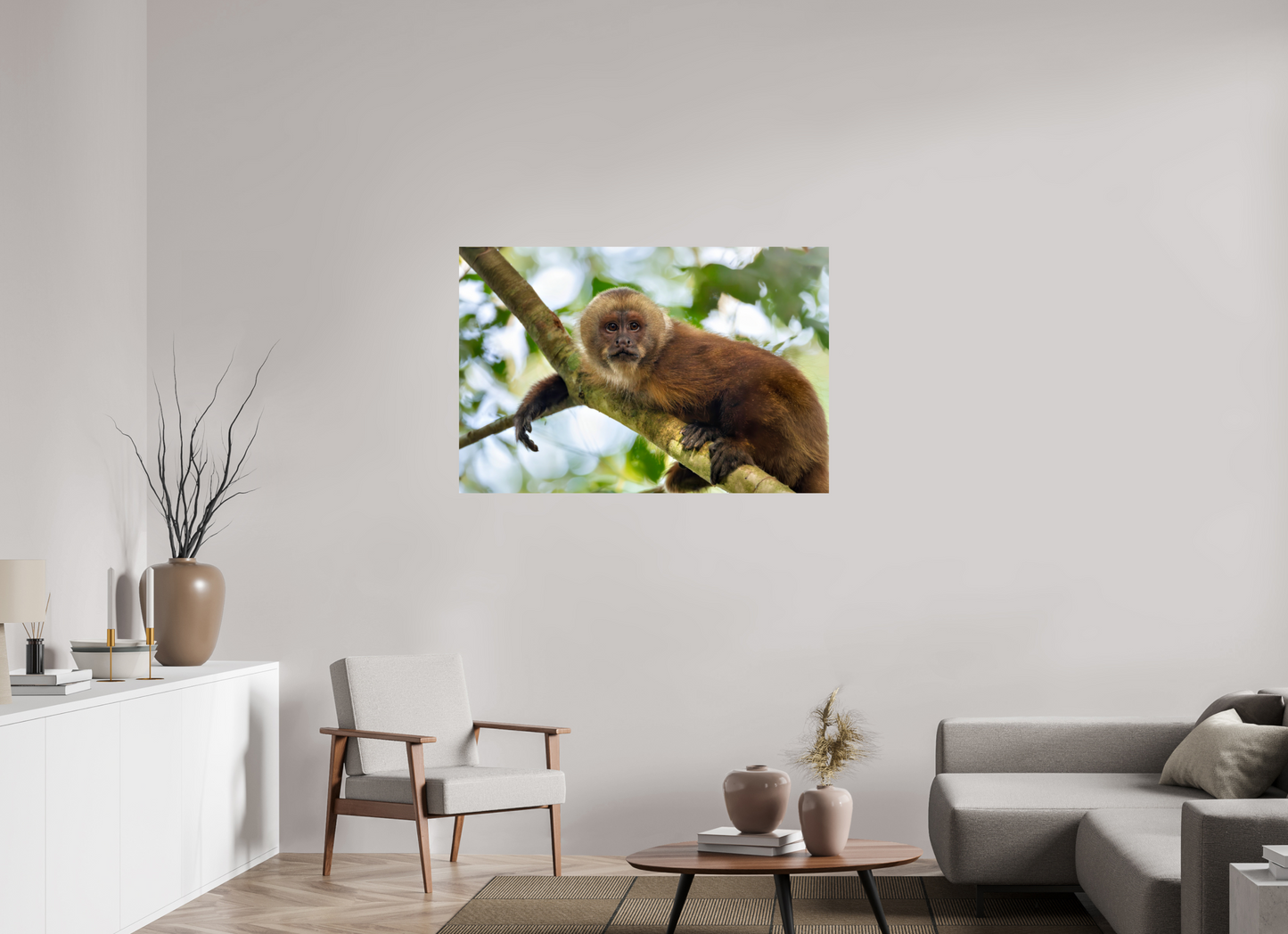 120 x 80 cm, Smooth Glossy Capuchin Monkey2