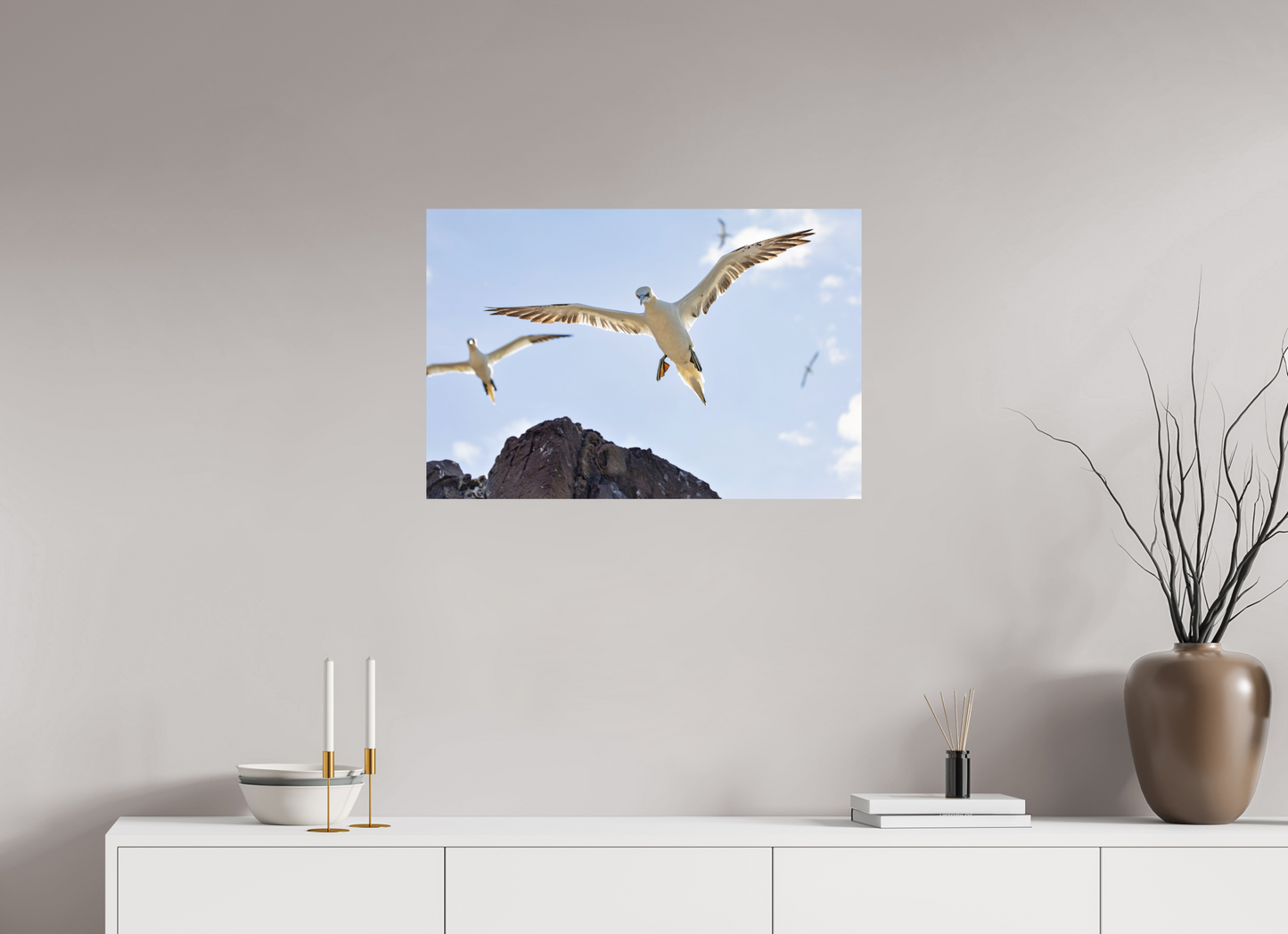 75 x 50 cm, Smooth Glossy Gannets2