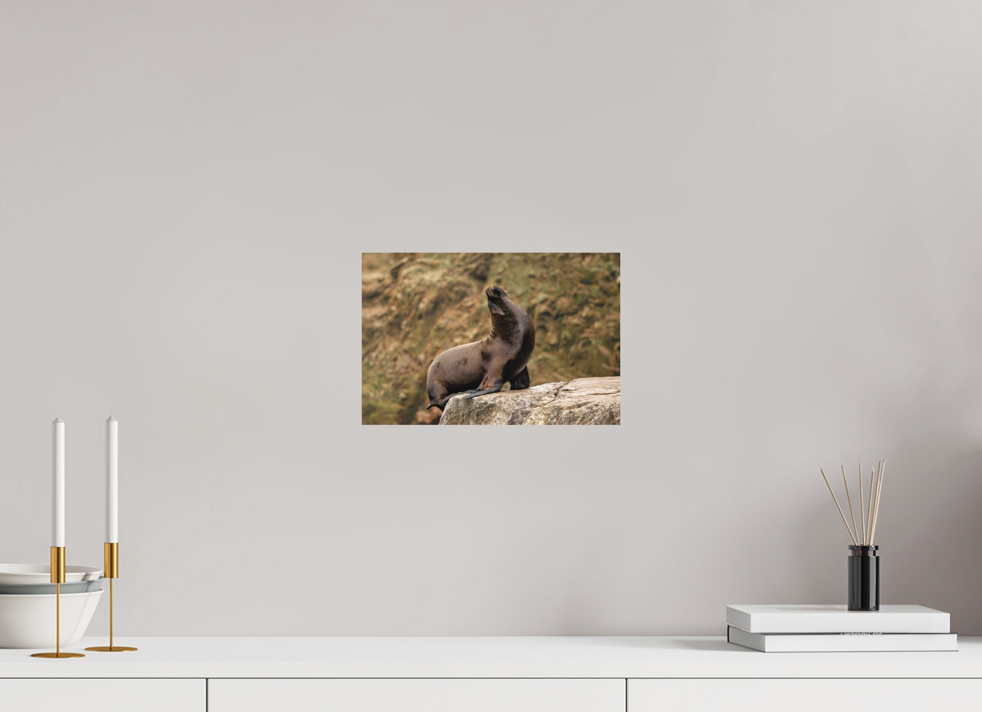 30 x 20 cm, Textured Matte sea lion 2