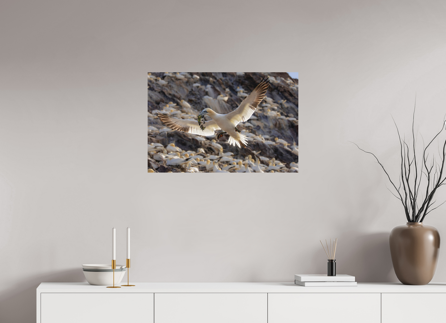 75 x 50 cm, Textured Matte Gannet with seaweed