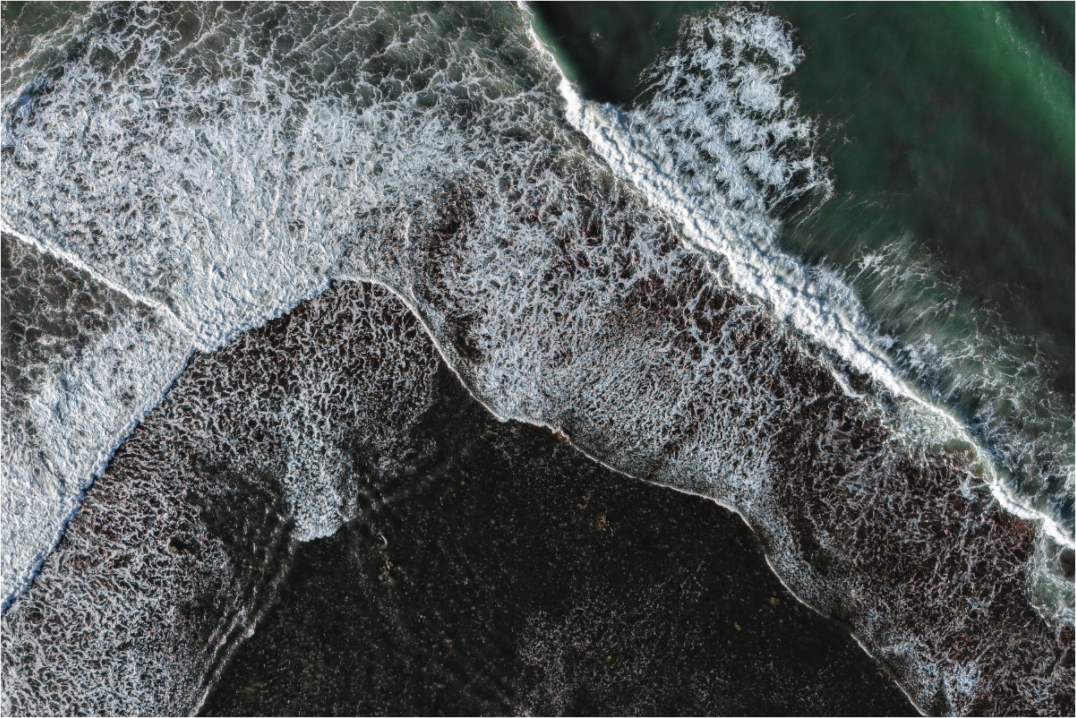Main image Swash