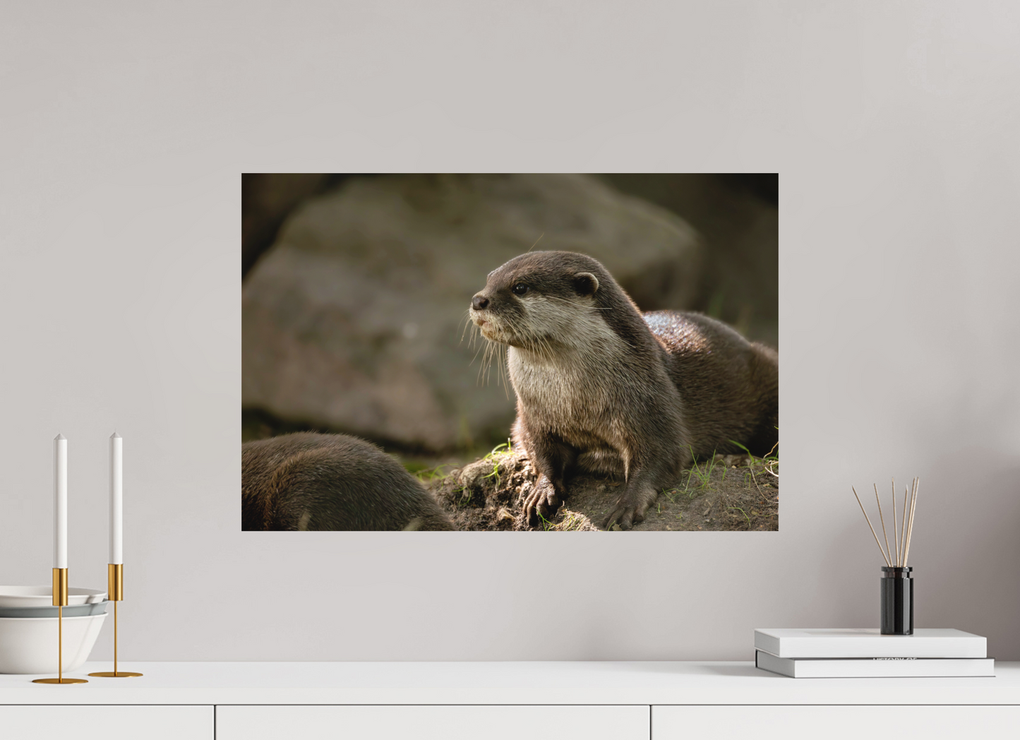 60 x 40 cm, Textured Matte otter.