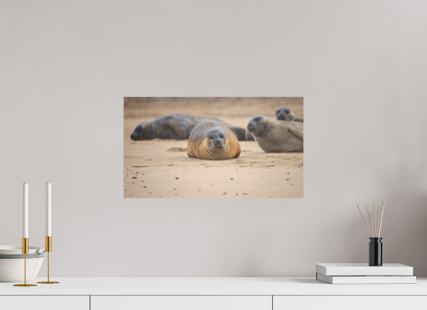 48 x 27 cm, Textured Matte seals in the rain
