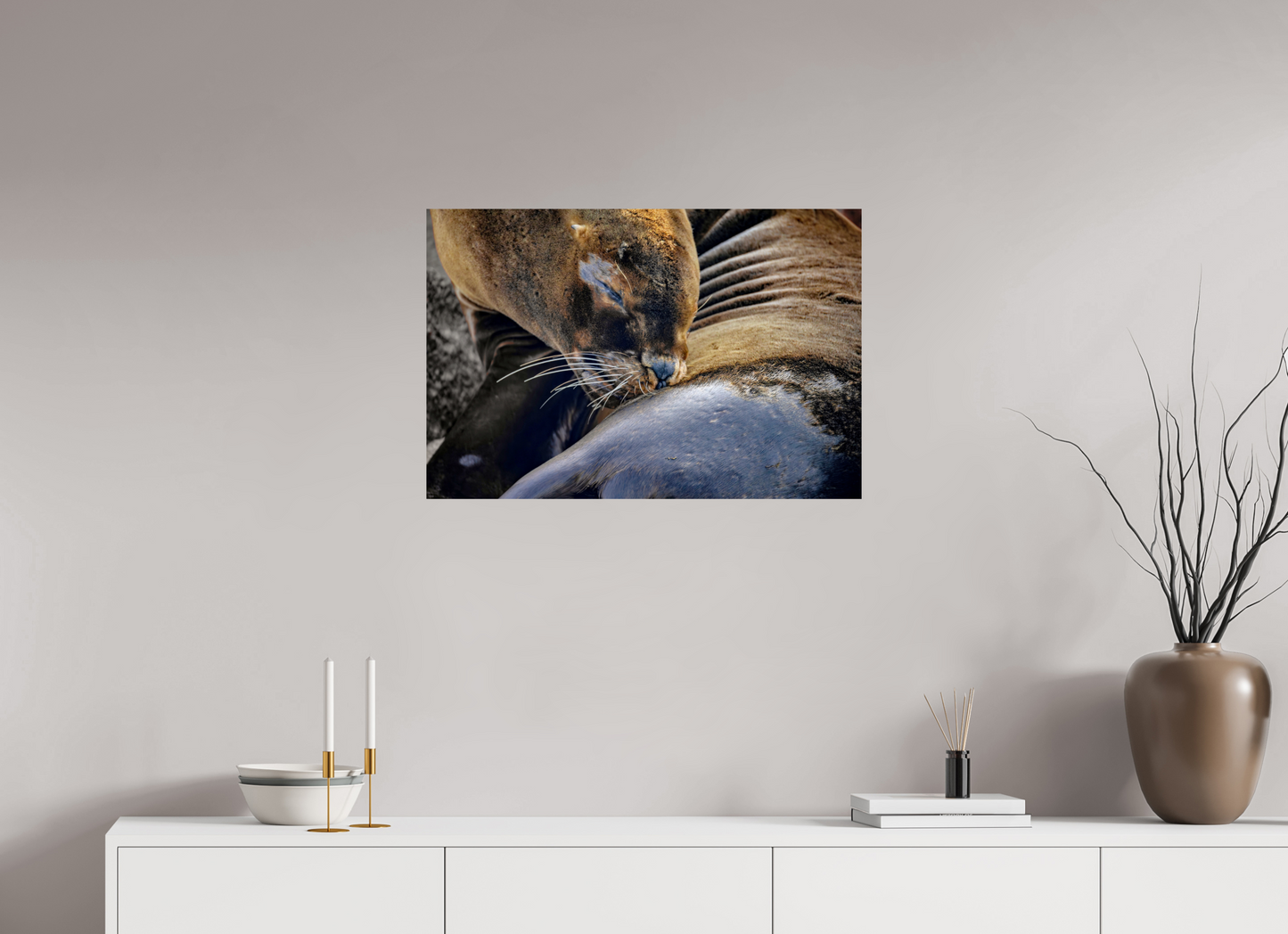 75 x 50 cm, Smooth Glossy sea lion
