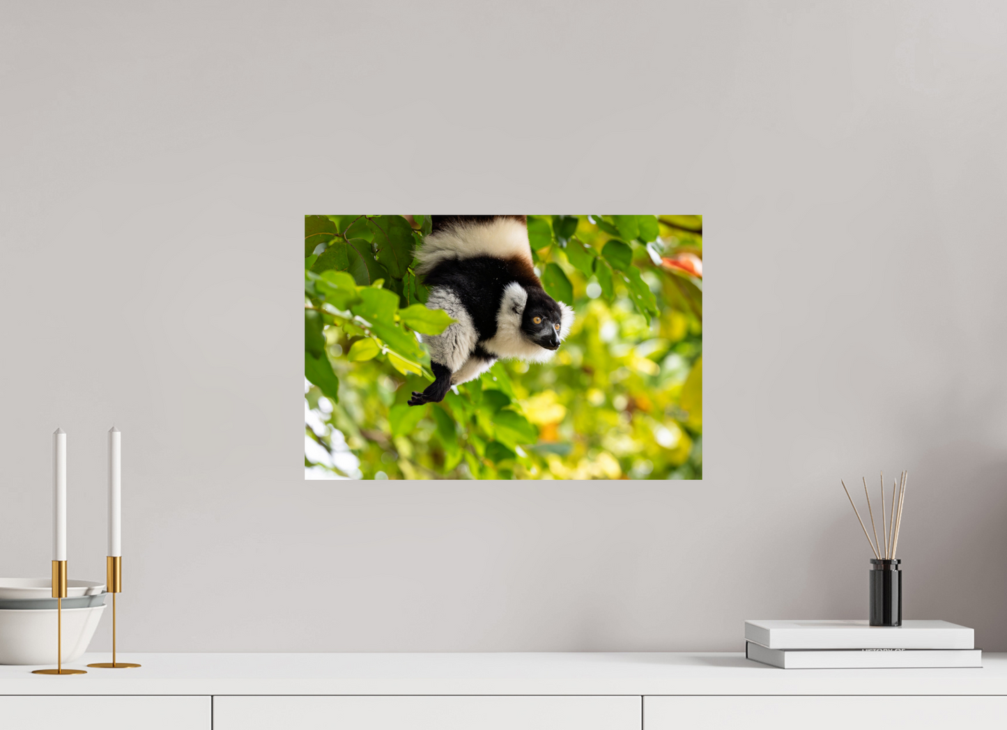 45 x 30 cm, Smooth Glossy lemur 2