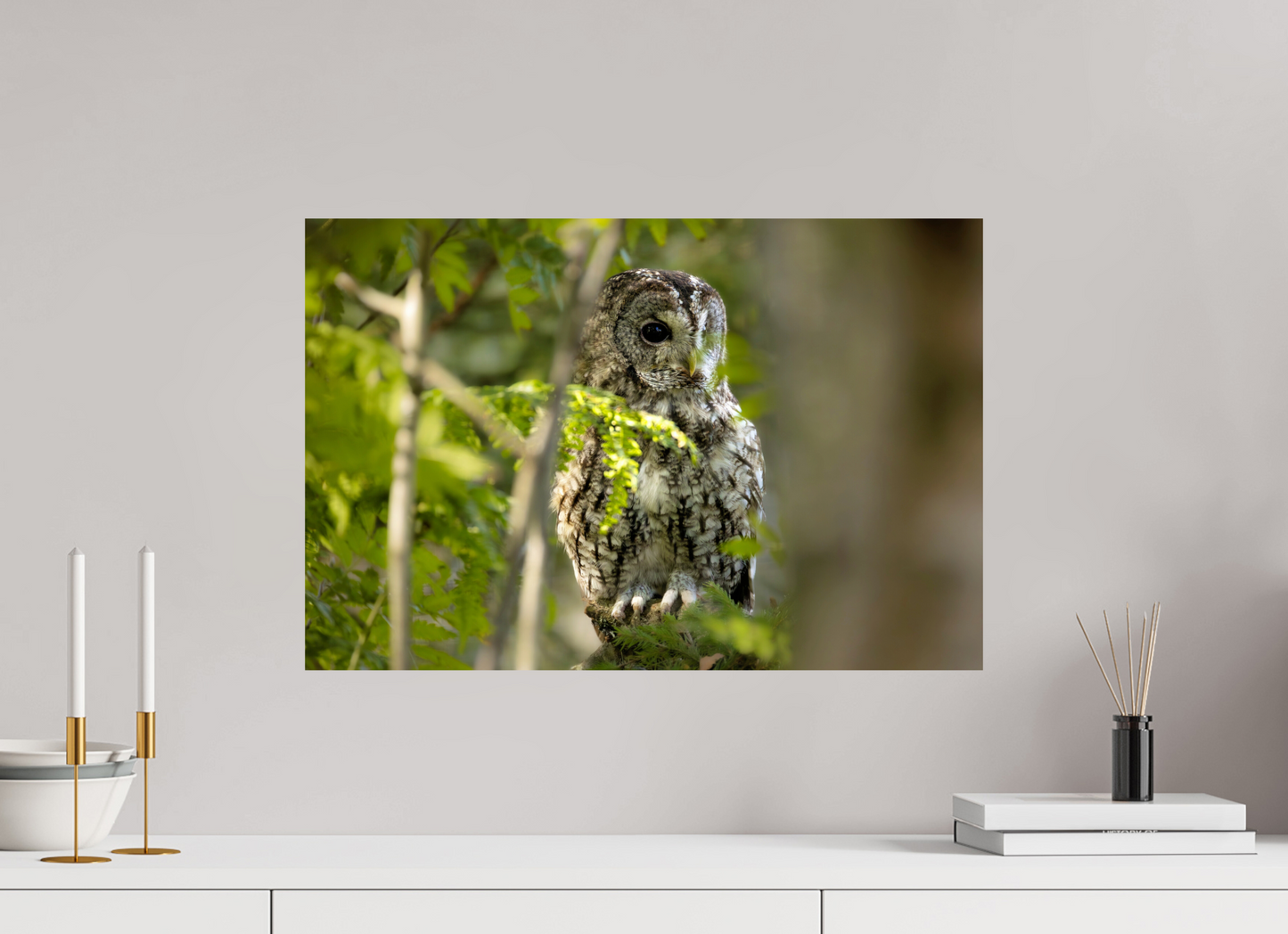 60 x 40 cm, Smooth Glossy owl