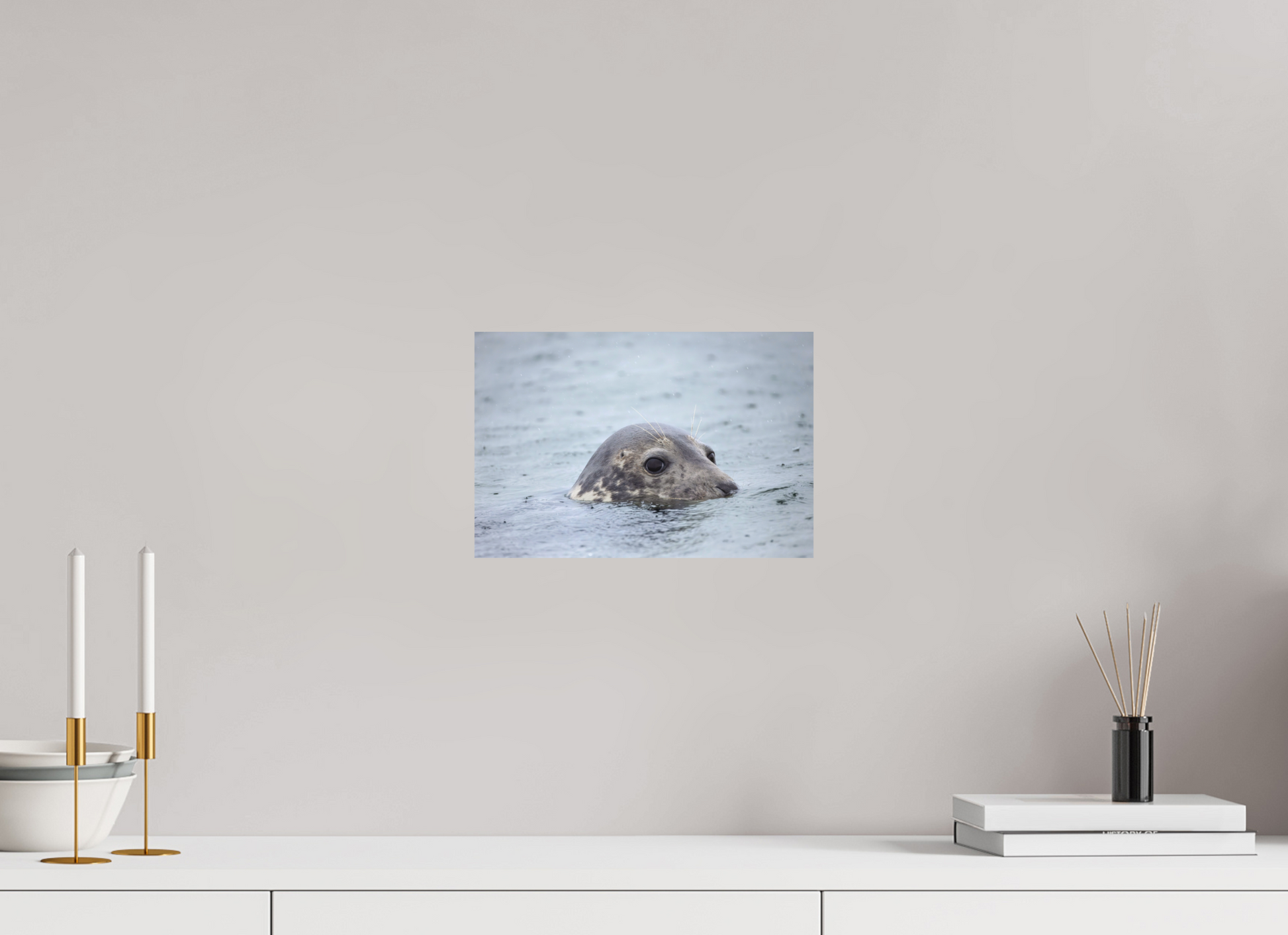 30 x 20 cm, Textured Matte seal in the rain 3
