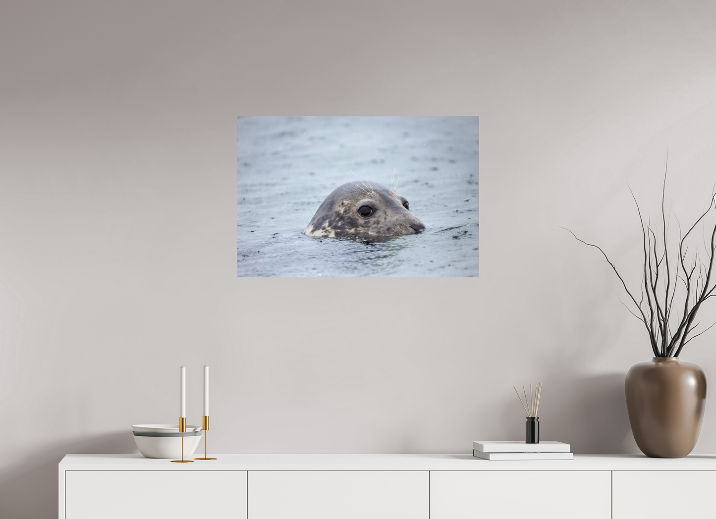 75 x 50 cm, Smooth Glossy seal in the rain 3