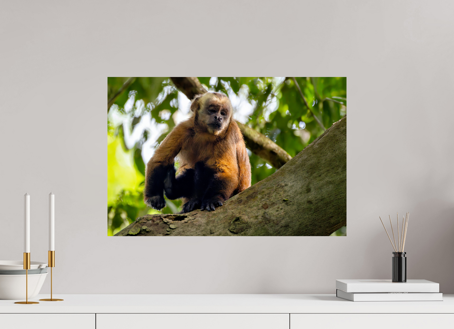 60 x 40 cm, Smooth Glossy Capuchin