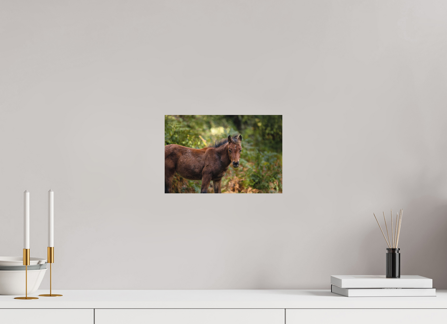 30 x 20 cm, Textured Matte horse