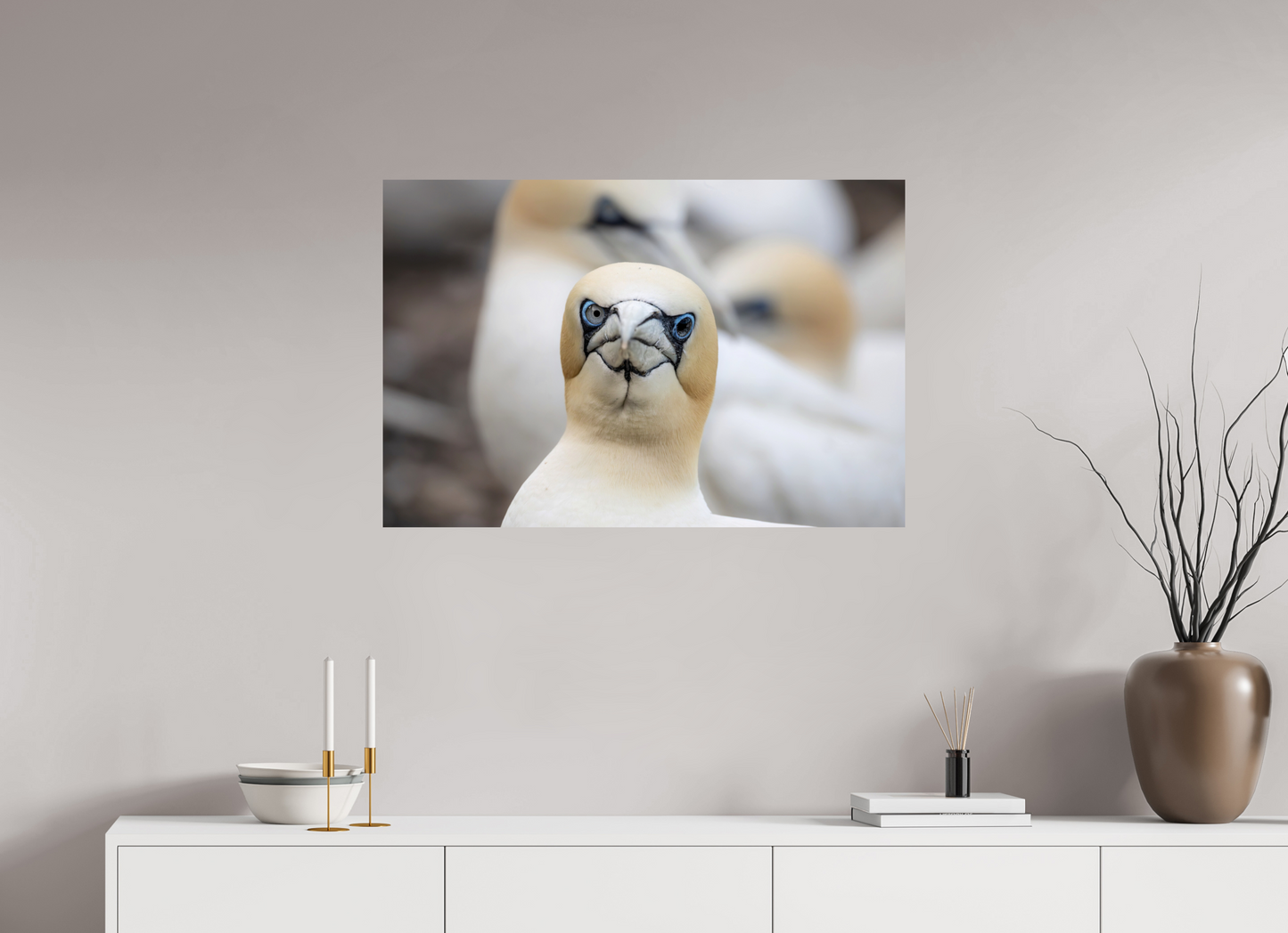 90 x 60 cm, Smooth Glossy bird flu
