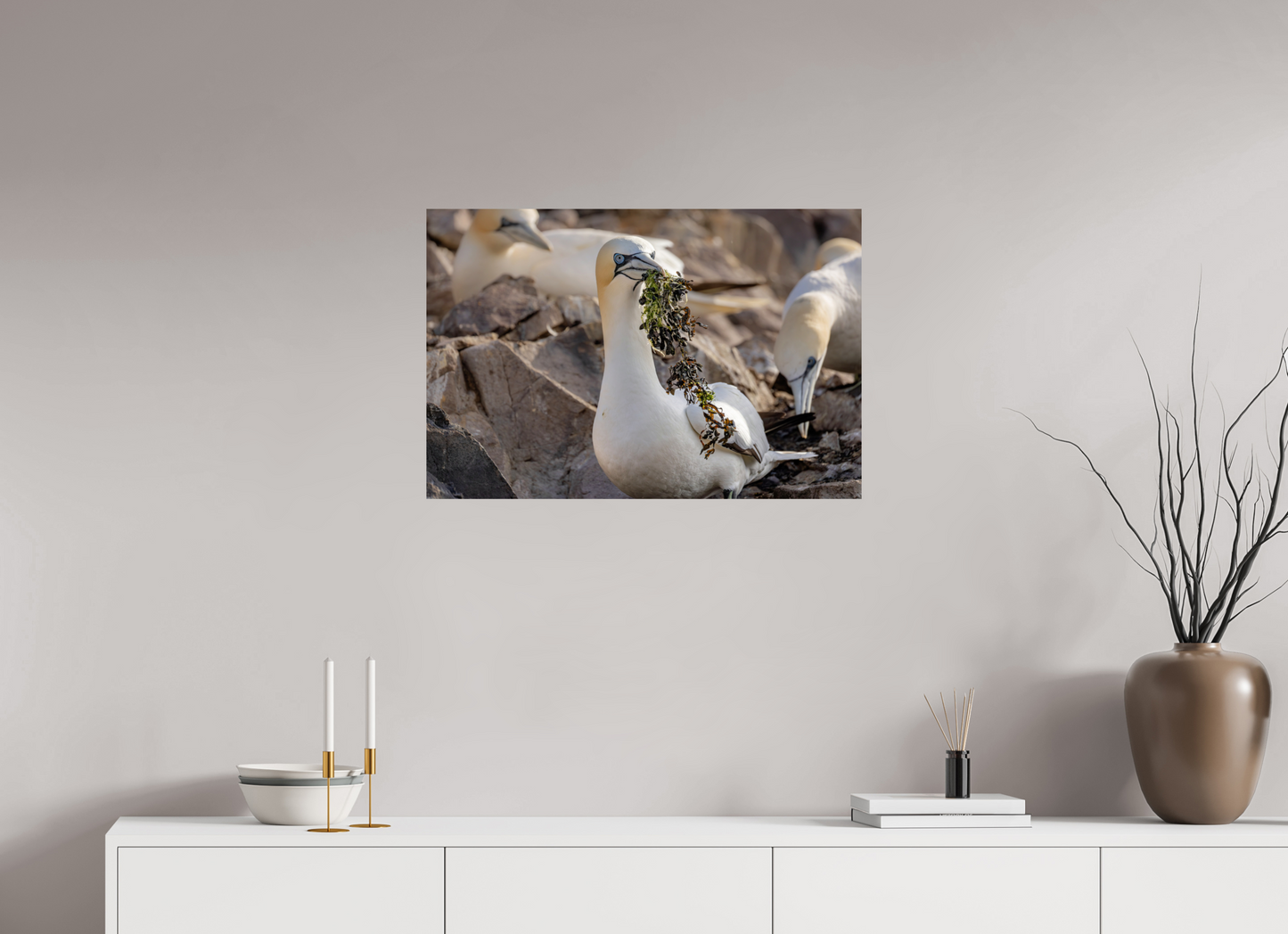 75 x 50 cm, Smooth Glossy .