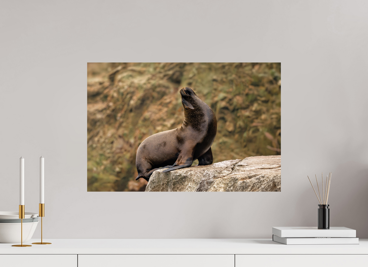 60 x 40 cm, Smooth Glossy sea lion 2