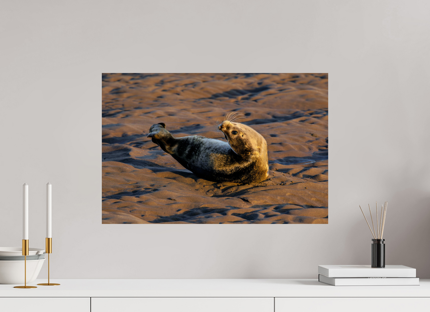 60 x 40 cm, Smooth Glossy young seal