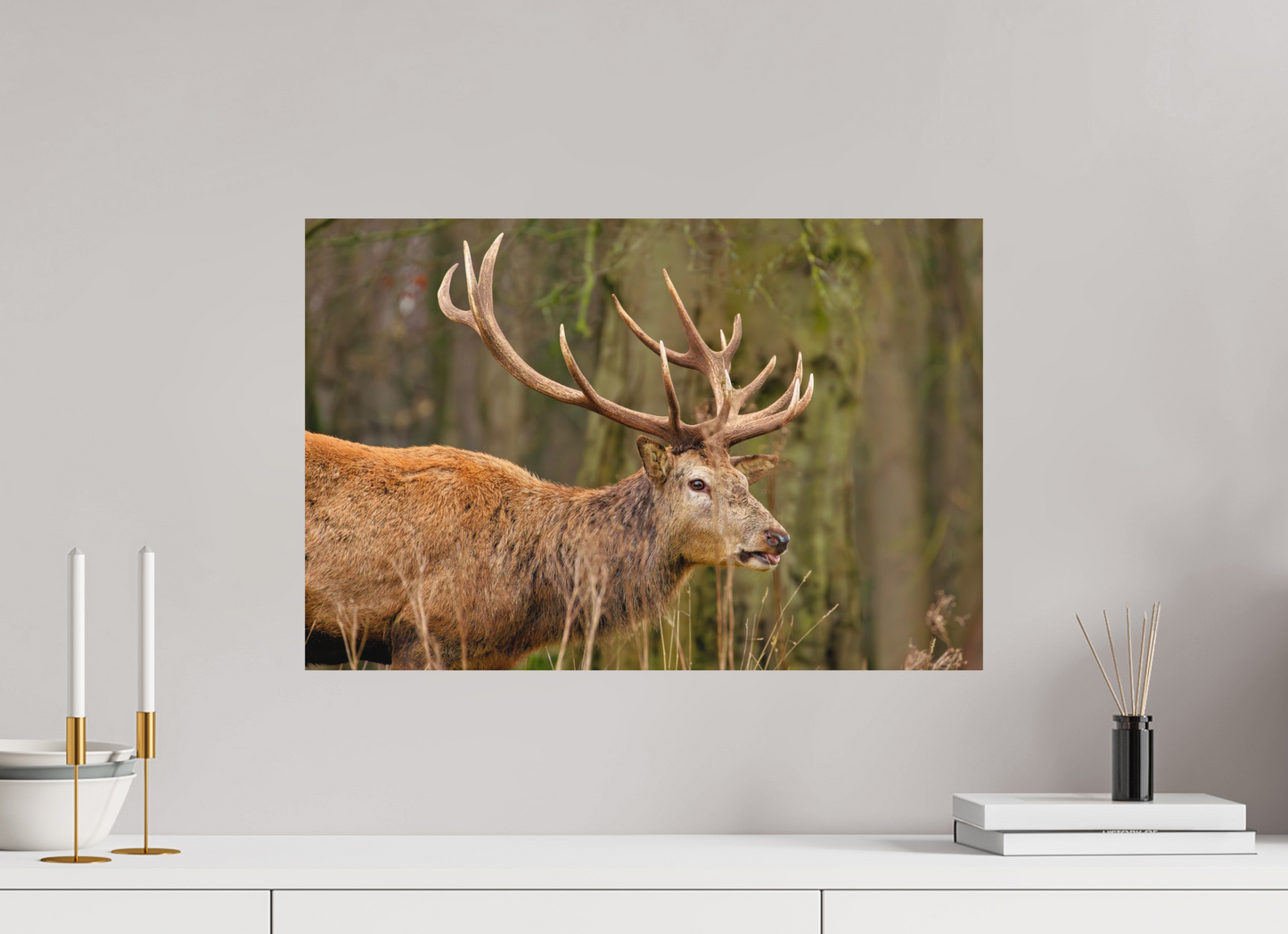 60 x 40 cm, Textured Matte Deer