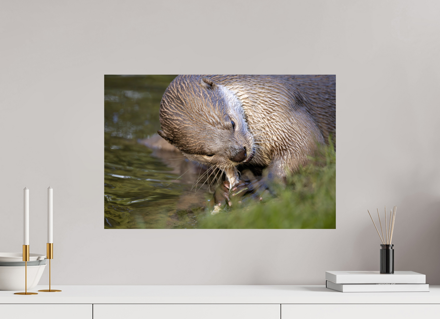 60 x 40 cm, Smooth Glossy otter eating fish