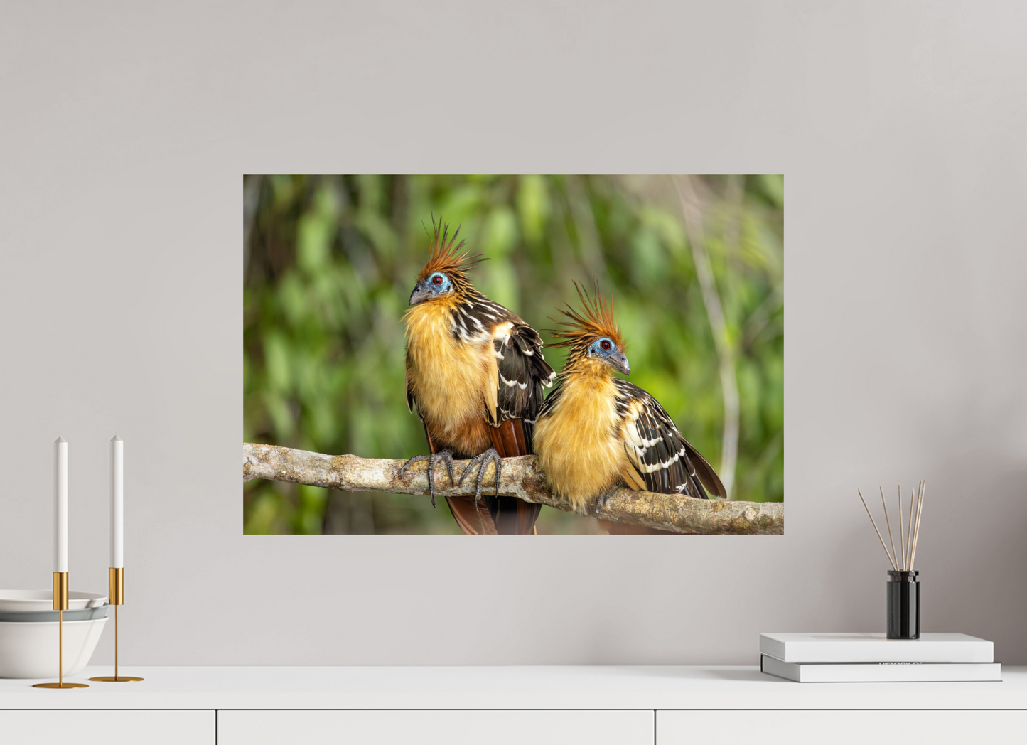 60 x 40 cm, Smooth Glossy Stinky Birds
