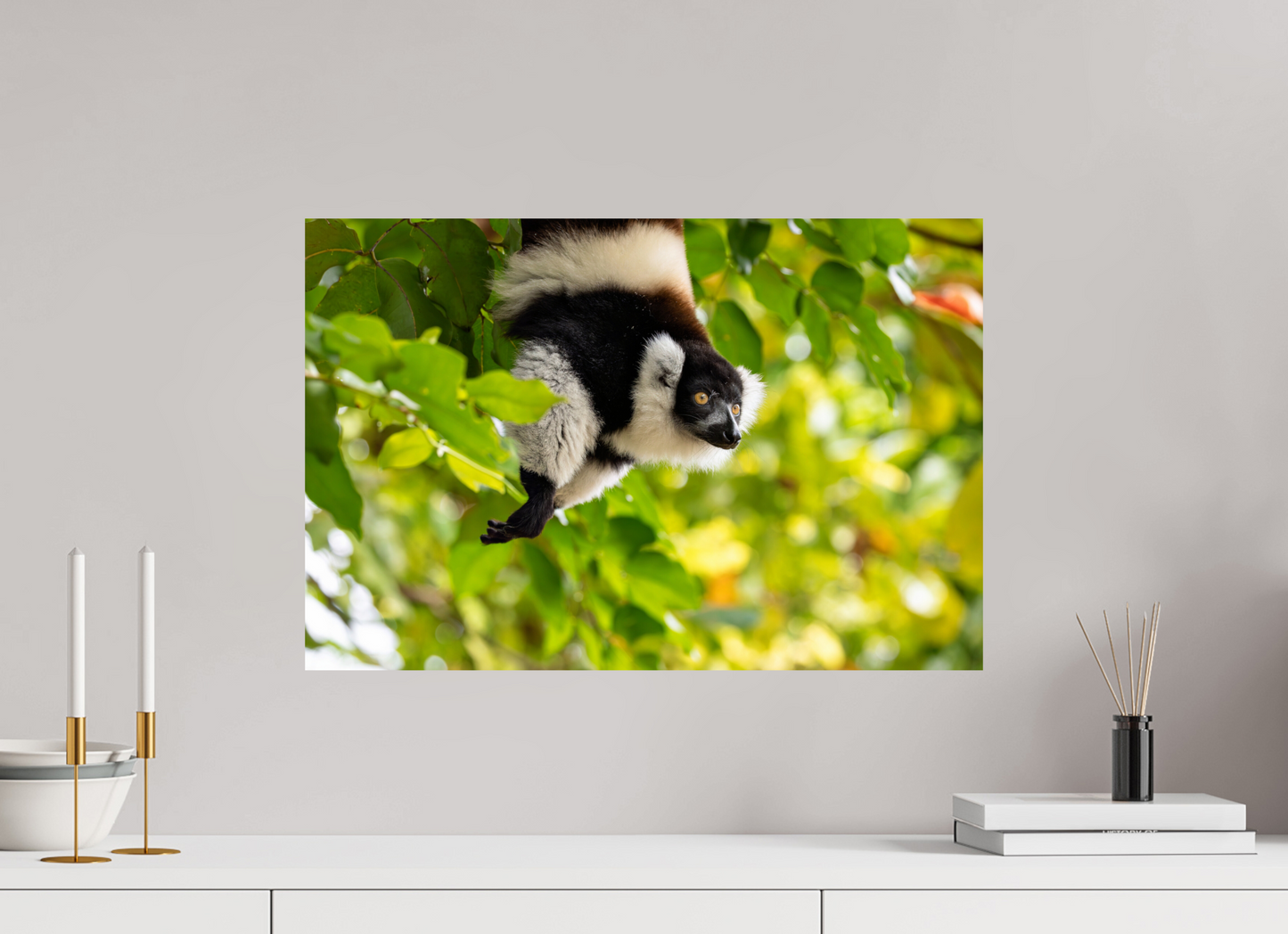 60 x 40 cm, Smooth Glossy lemur 2