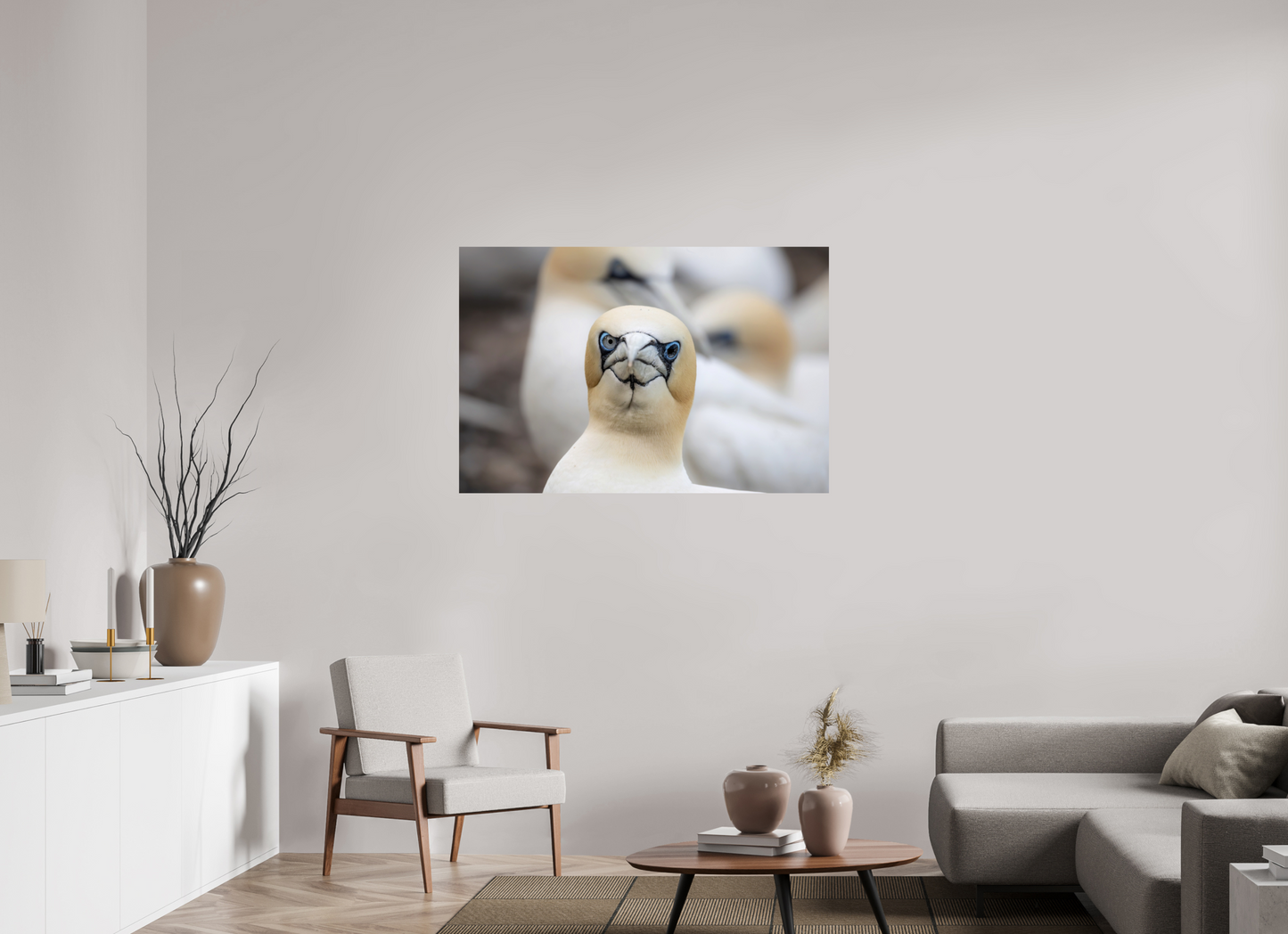 120 x 80 cm, Smooth Glossy bird flu