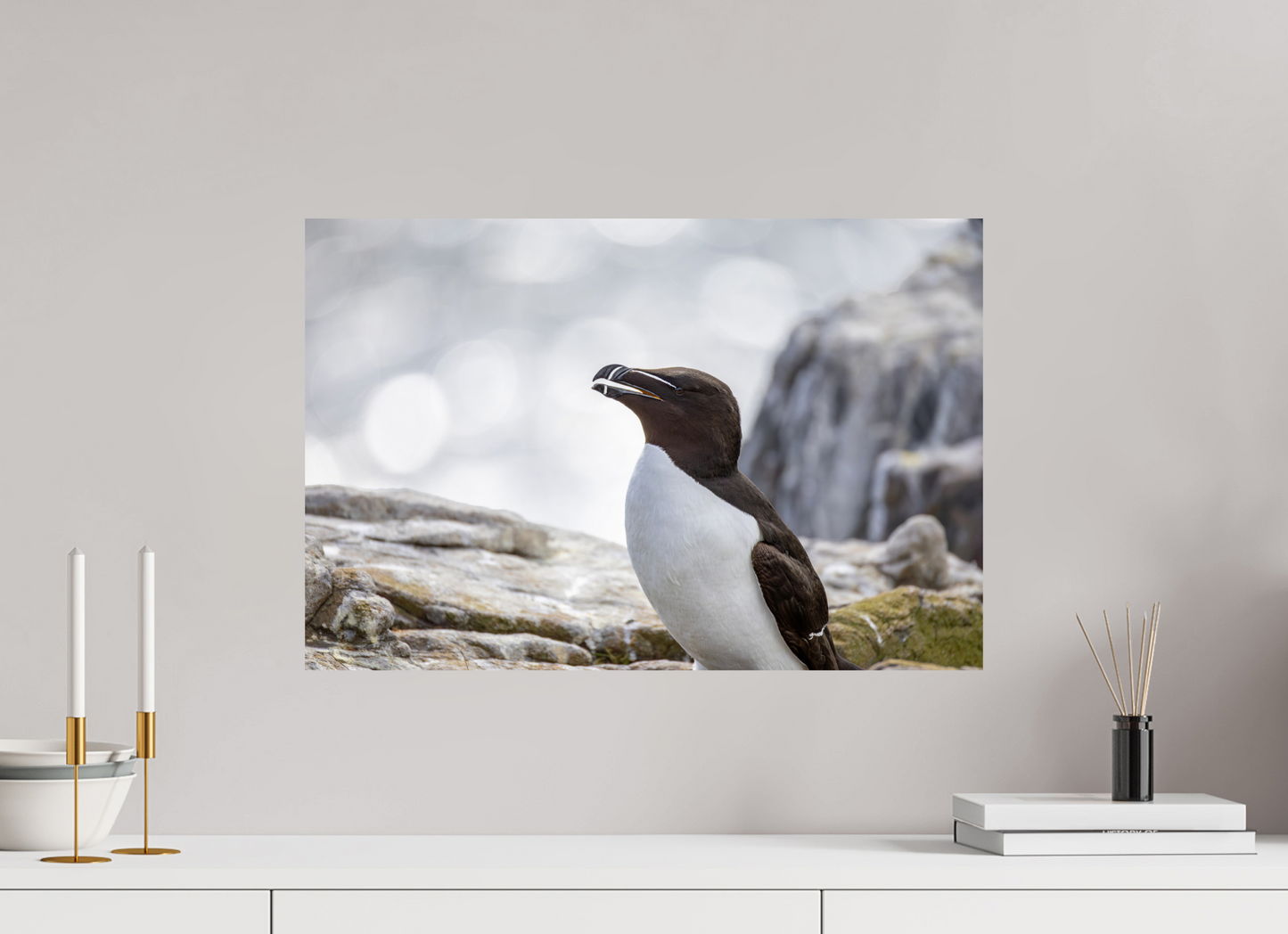 60 x 40 cm, Smooth Glossy .