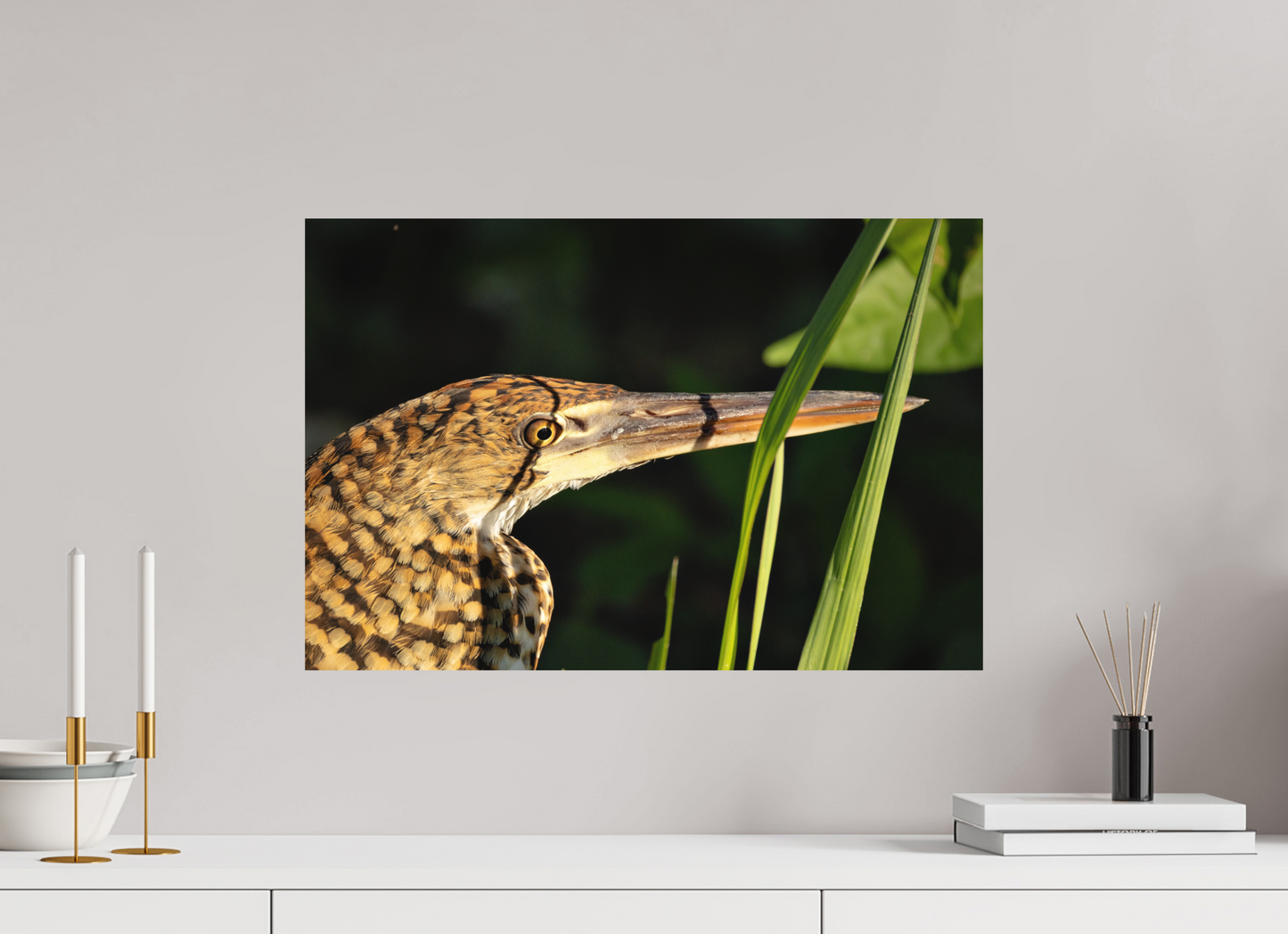 60 x 40 cm, Textured Matte tiger heron hunting