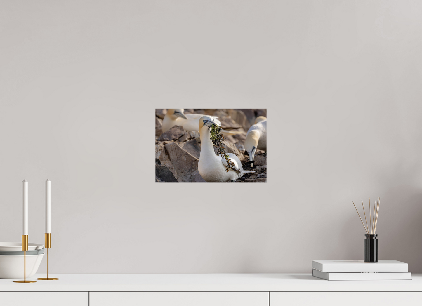 30 x 20 cm, Smooth Glossy .