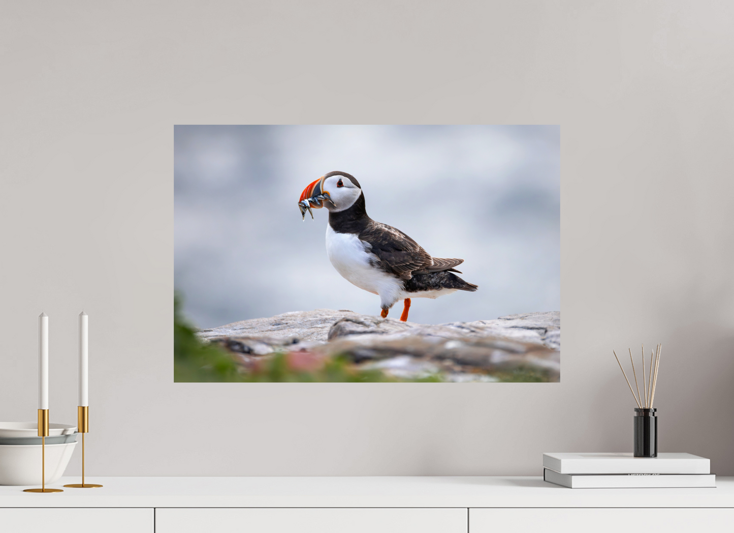 60 x 40 cm, Smooth Glossy puffin7