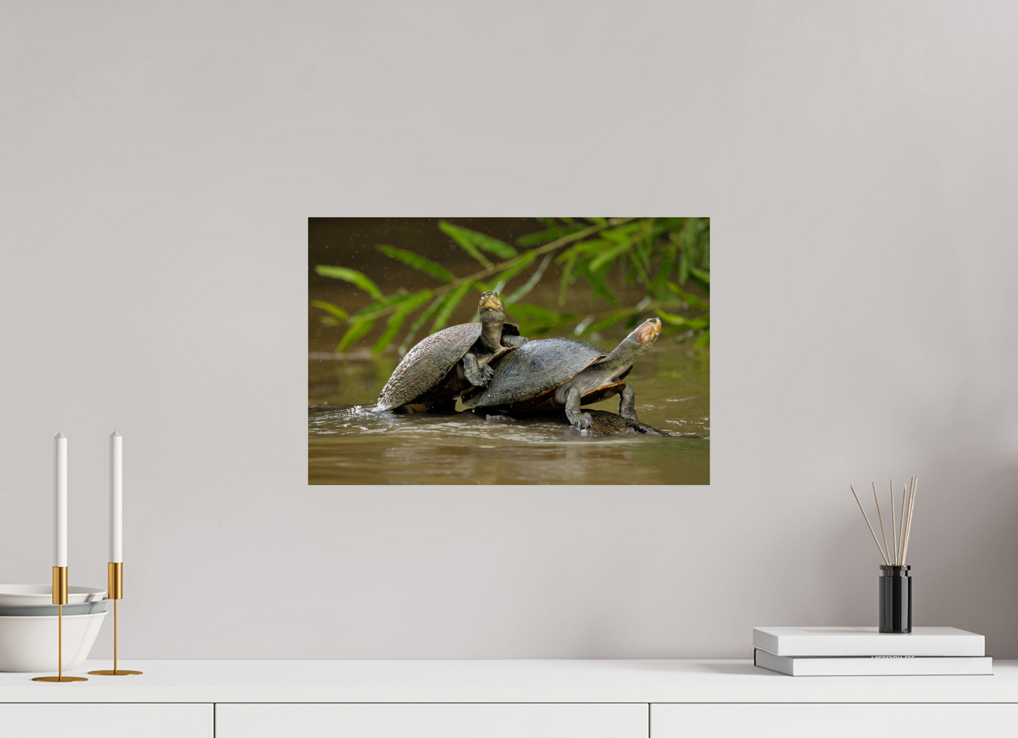 45 x 30 cm, Smooth Glossy .