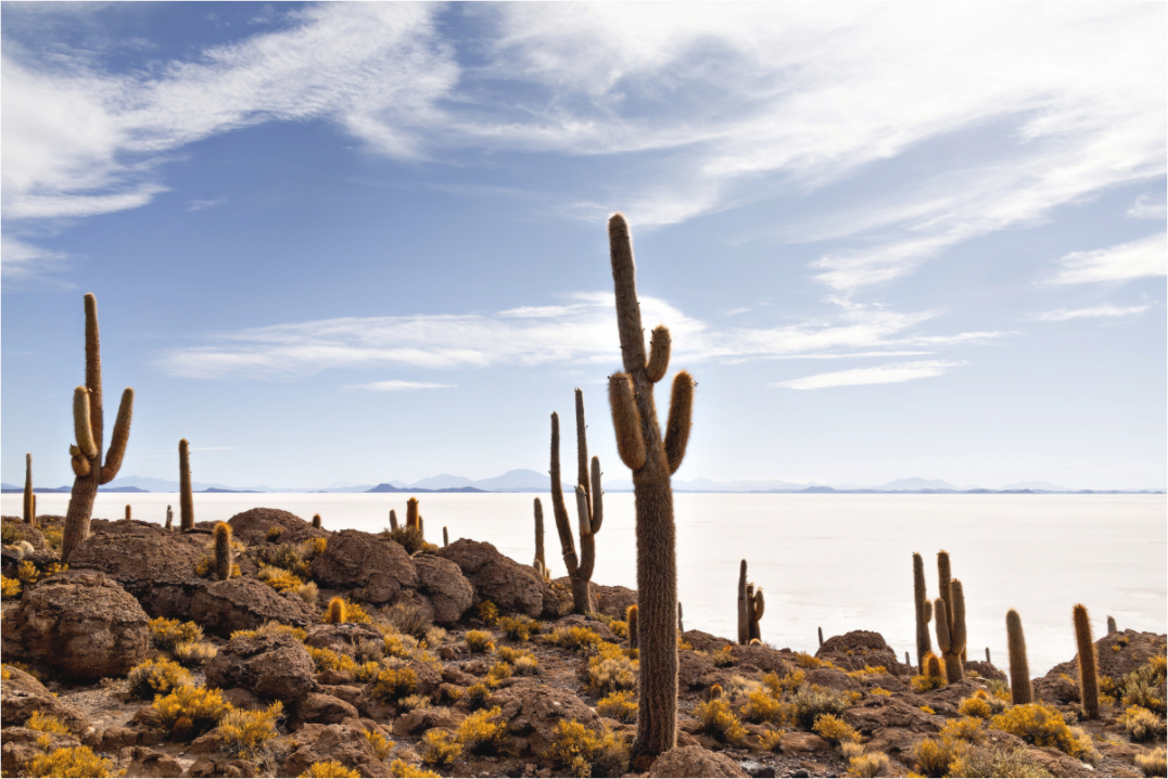 Main image Salar