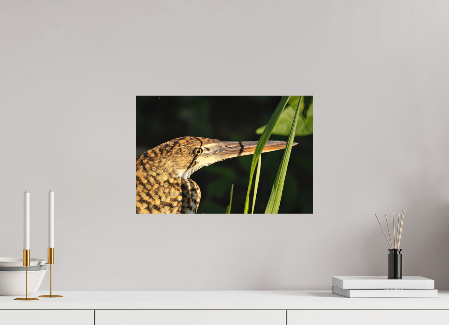 45 x 30 cm, Textured Matte tiger heron hunting