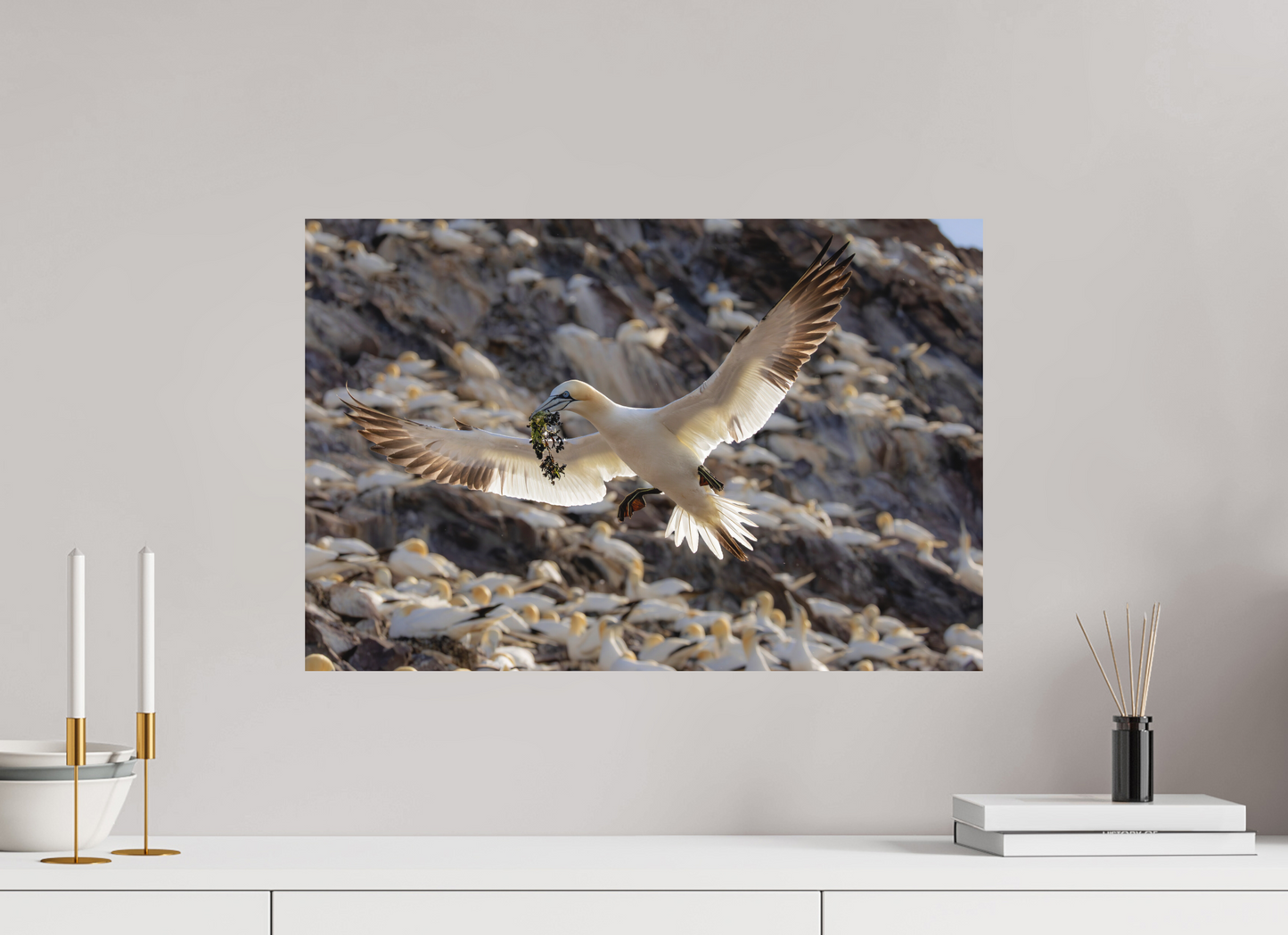 60 x 40 cm, Textured Matte Gannet with seaweed