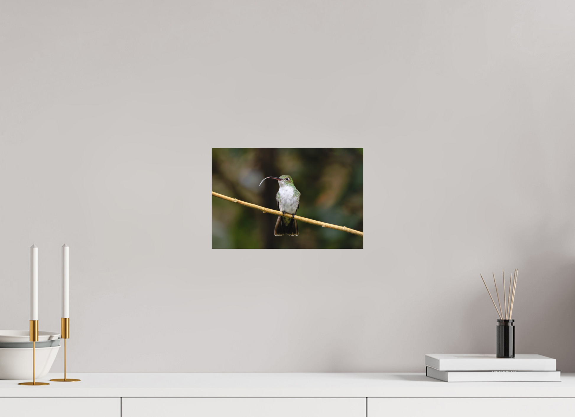 30 x 20 cm, Textured Matte hummingbird12