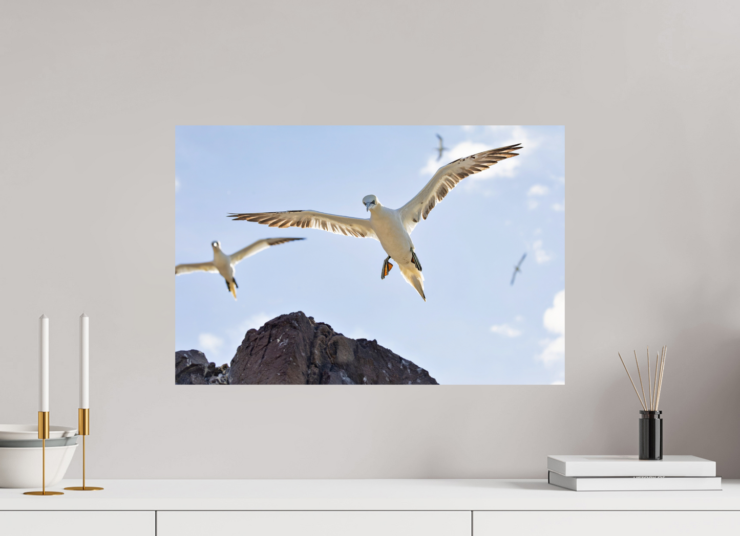 60 x 40 cm, Smooth Glossy Gannets2