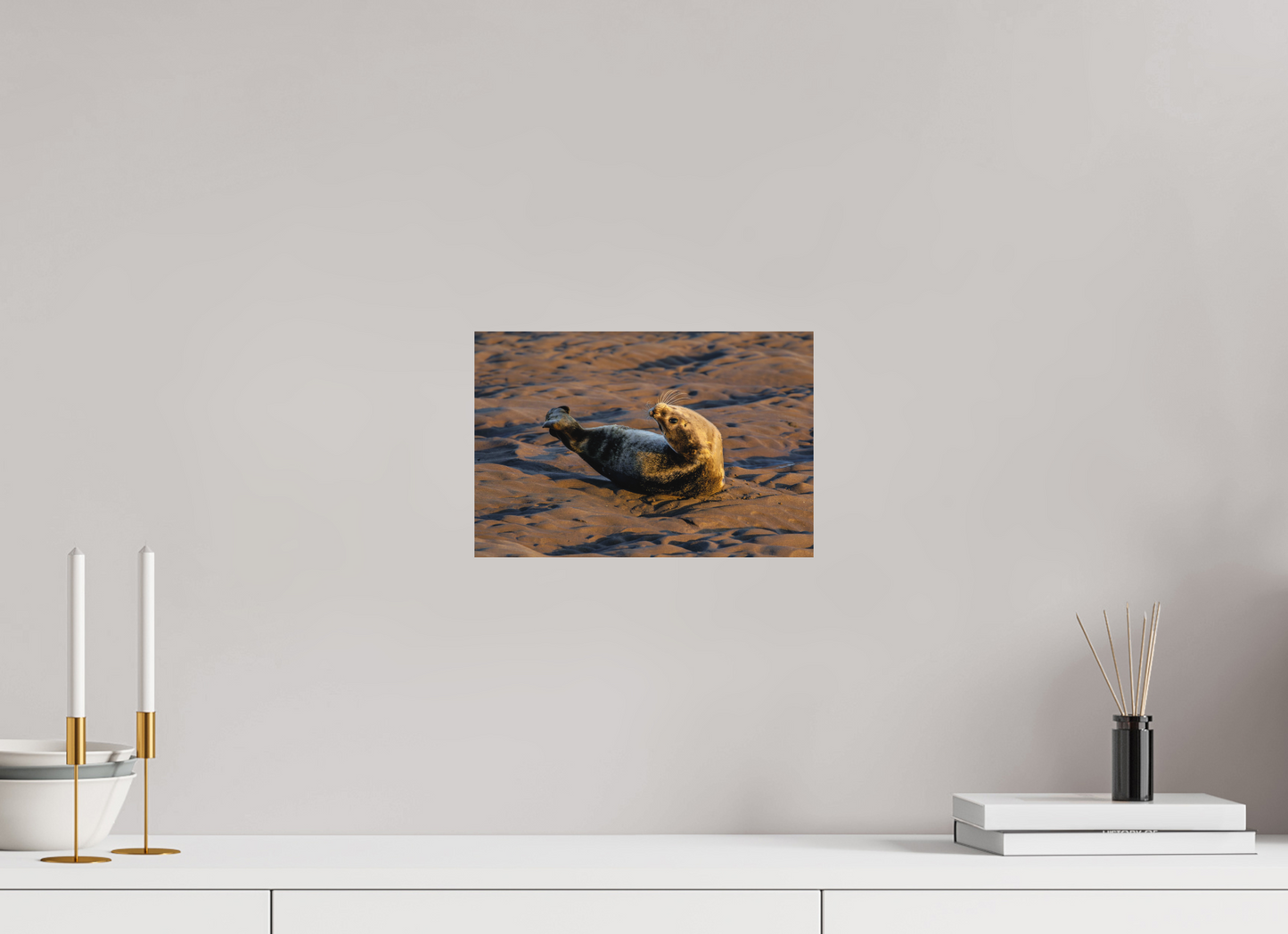 30 x 20 cm, Textured Matte young seal