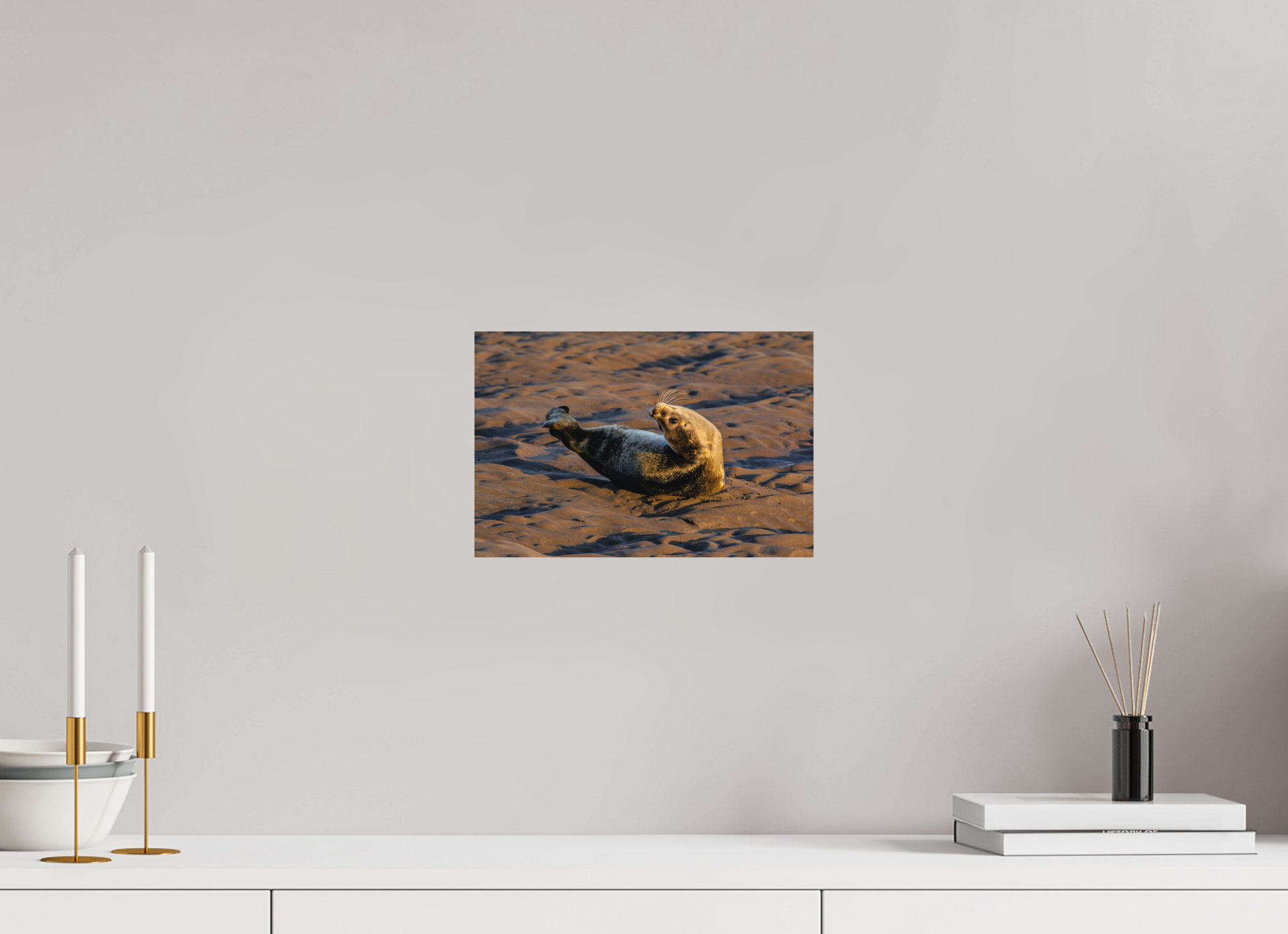 30 x 20 cm, Textured Matte young seal