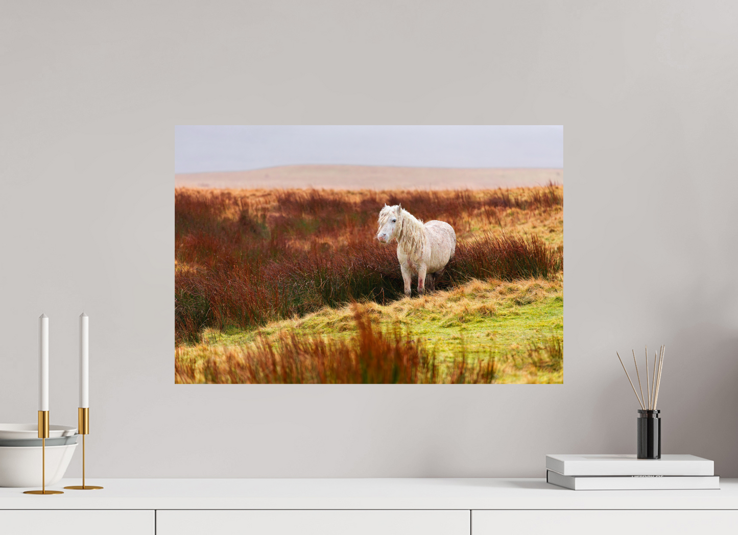 60 x 40 cm, Smooth Glossy Horse
