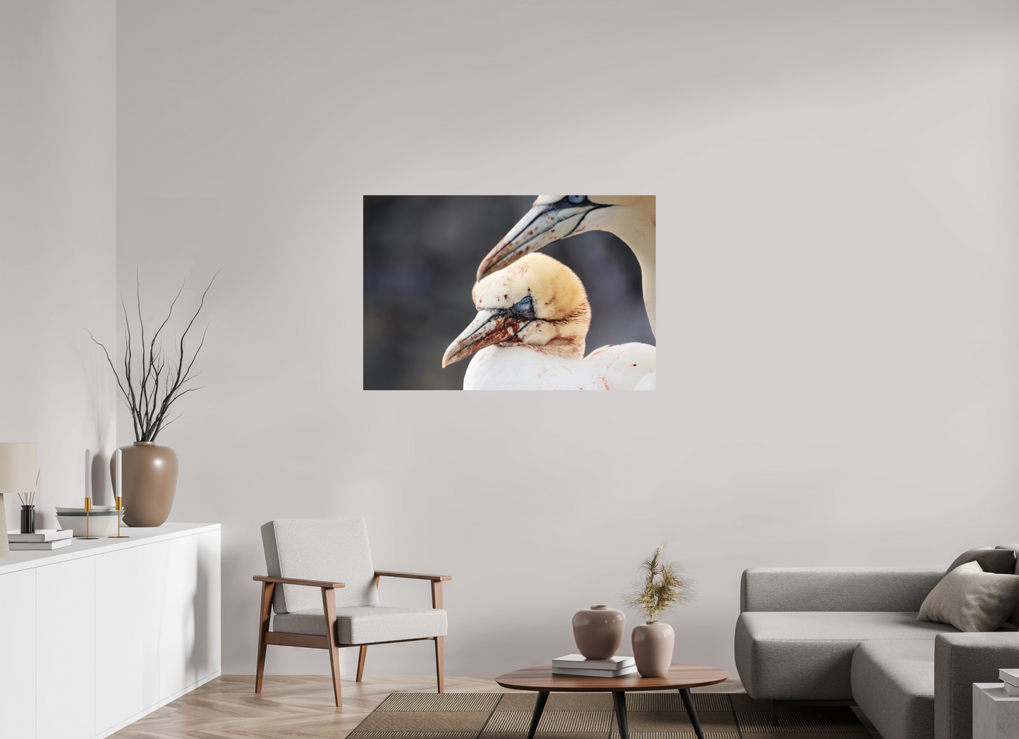 120 x 80 cm, Textured Matte Fighting gannets