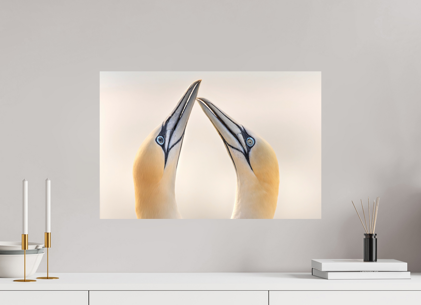 60 x 40 cm, Smooth Glossy Bill to Bill