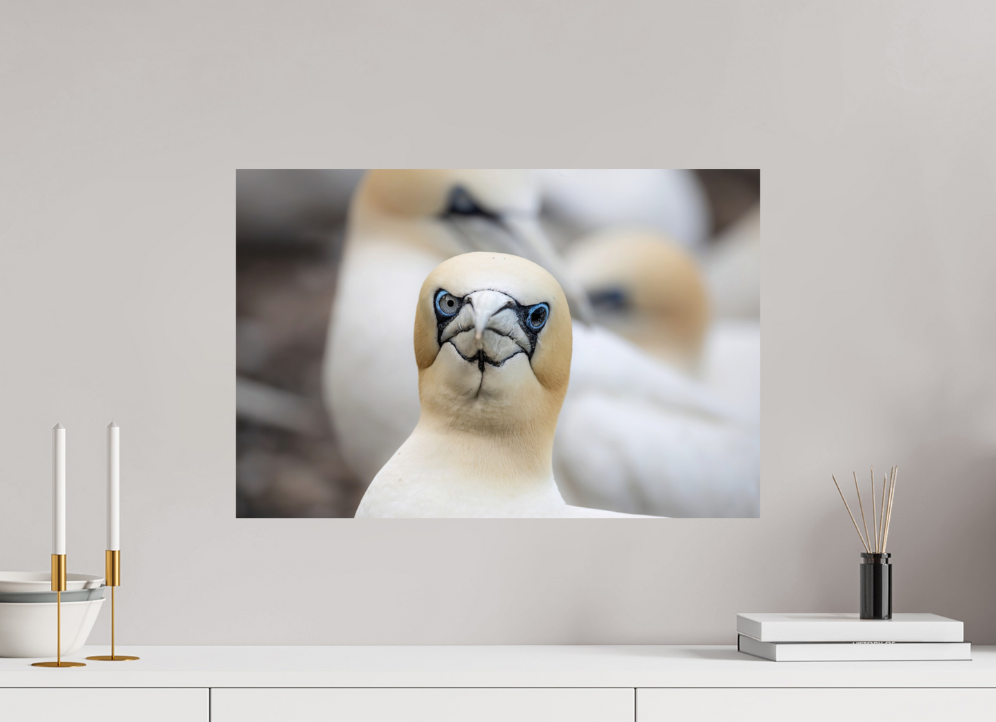 60 x 40 cm, Smooth Glossy bird flu