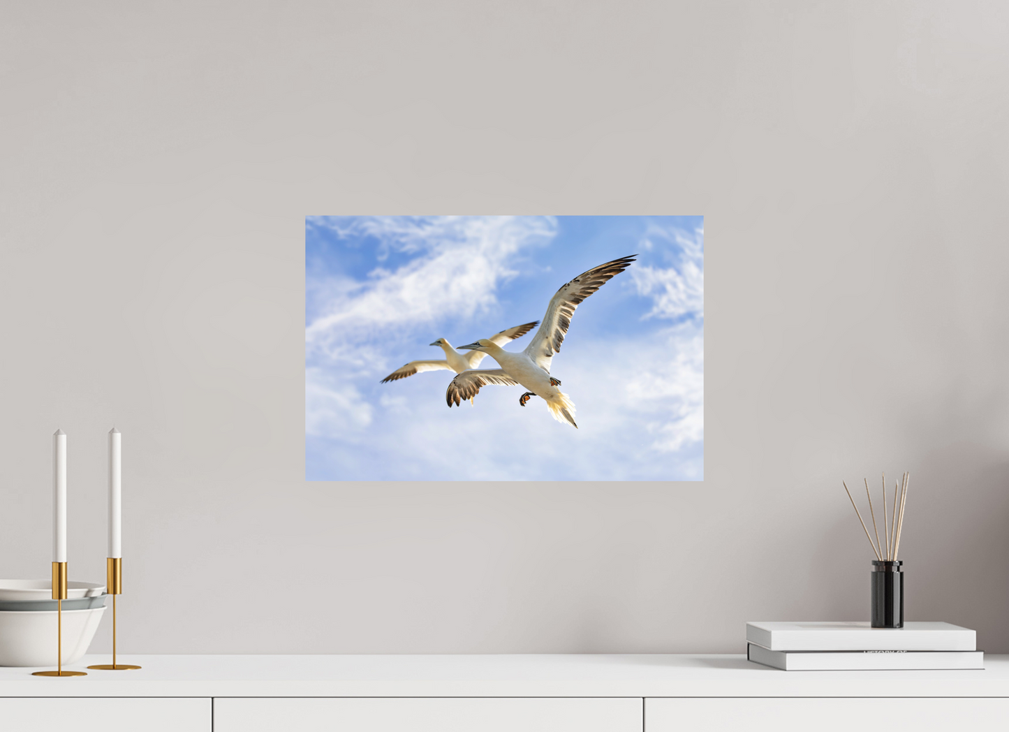 45 x 30 cm, Textured Matte Soaring Seabirds