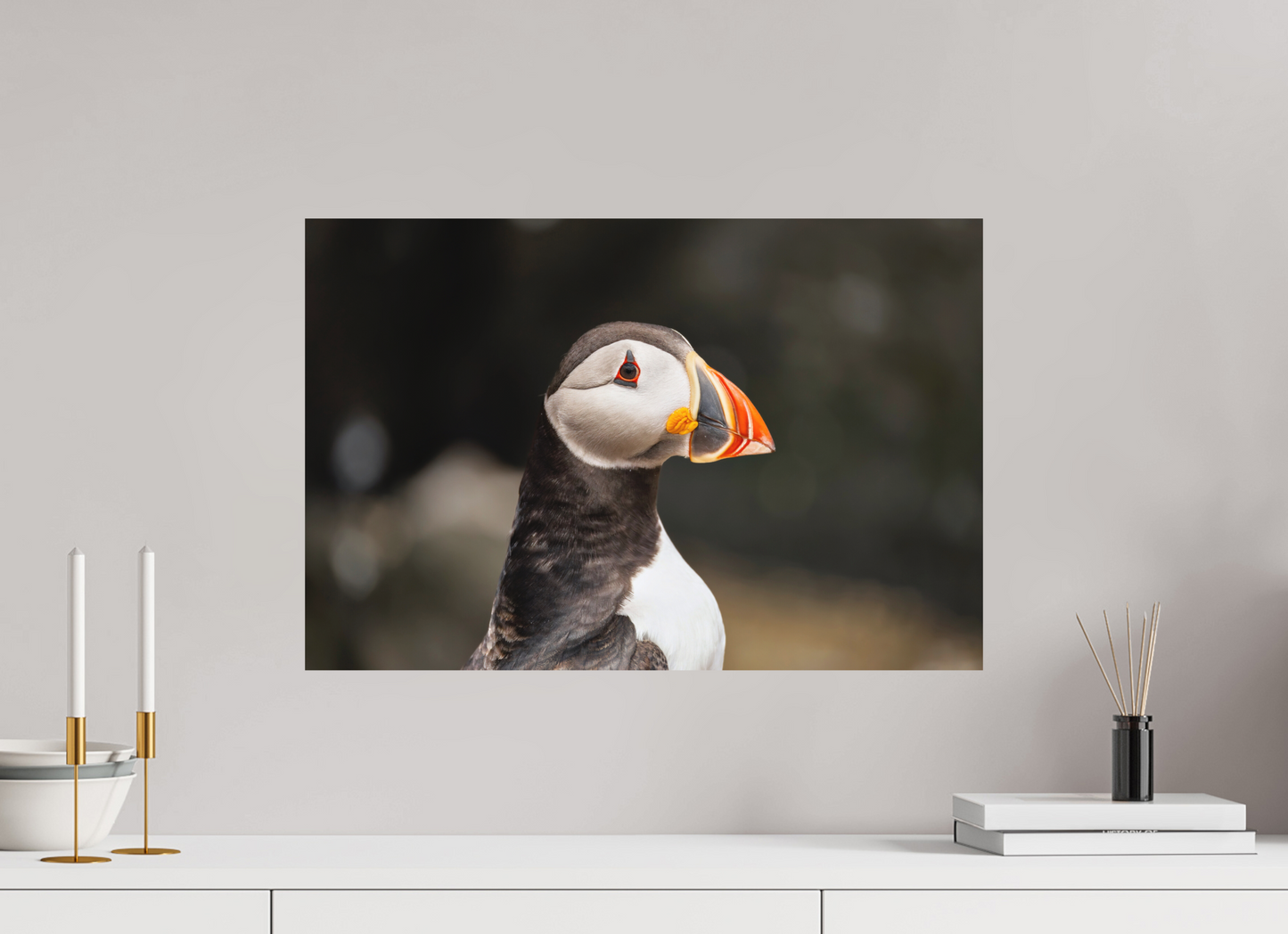 60 x 40 cm, Textured Matte puffin5