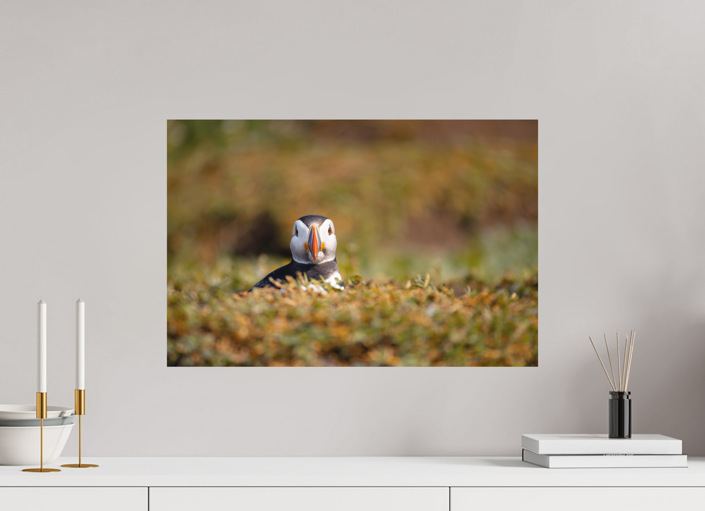 60 x 40 cm, Textured Matte puffin5