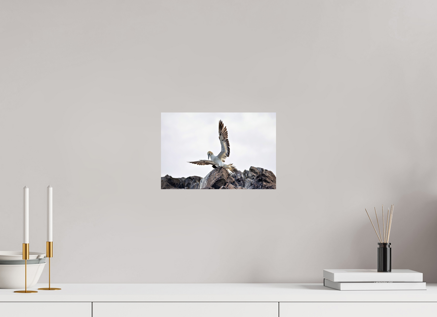 30 x 20 cm, Smooth Glossy gannet landing