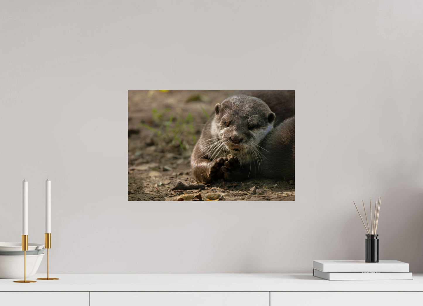 45 x 30 cm, Smooth Glossy otter3