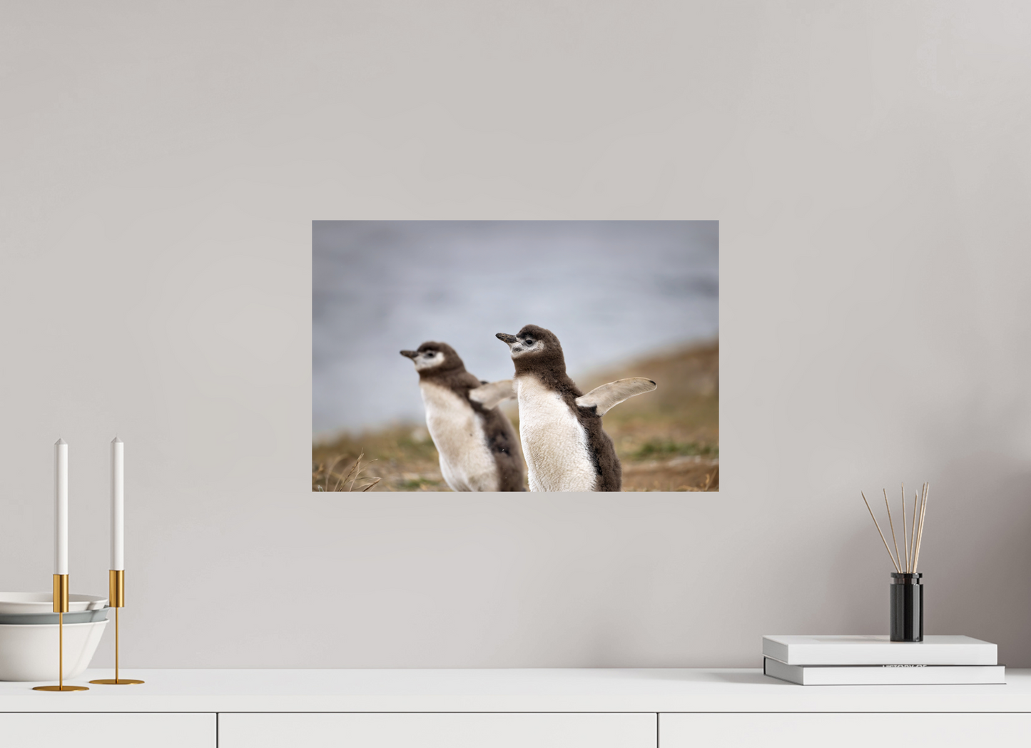 45 x 30 cm, Smooth Glossy Flightless Birds