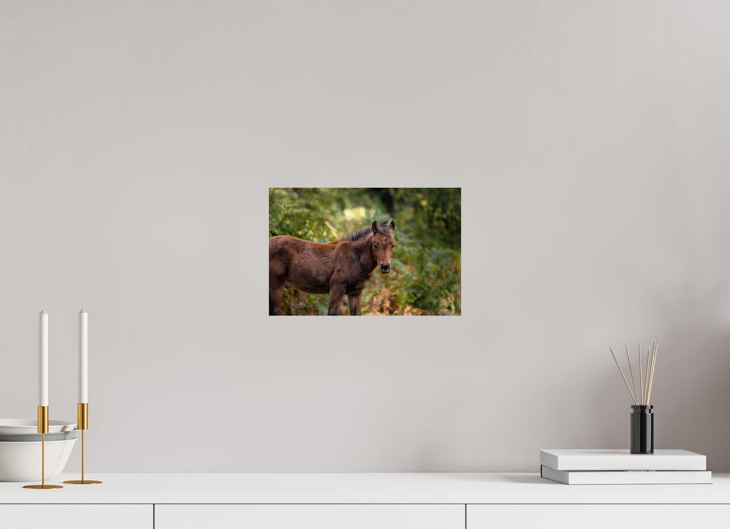 30 x 20 cm, Smooth Glossy horse
