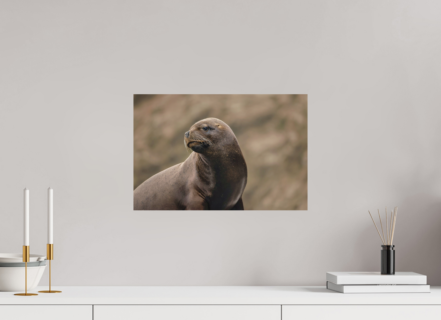 45 x 30 cm, Textured Matte sea lion 3